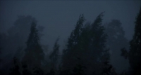 The Tale of a Forest 720p BluRay x264 EZTV The Tale of a Forest 720p BluRay x264 EZTV