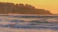 Bondi Vet S06E26 WEB x264-GIMINI [eztv]