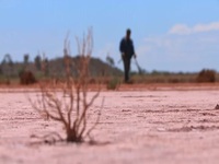 Aussie Gold Hunters S07E19 480p x264-mSD EZTV