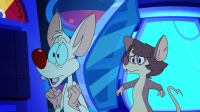 Animaniacs 2020 S01E08 720p HEVC x265-MeGusta EZTV