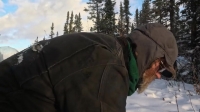 Mountain Men S07E16 720p WEB h264-TBS EZTV