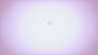 ZIWE S02E11 1080p HEVC x265-MeGusta EZTV