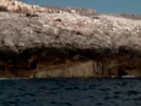 Dive Wars Australia S03E03 480p x264-mSD [eztv]