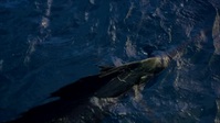 Uncharted Waters With Peter Miller S04E03 XviD-AFG EZTV