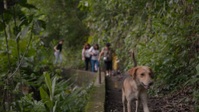 VICE S09E13 1080p HEVC x265-MeGusta EZTV VICE S09E13 1080p HEVC x265-MeGusta EZTV