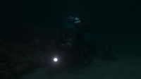 Secrets of the Octopus S01E03 XviD-AFG EZTV Secrets of the Octopus S01E03 XviD-AFG EZTV