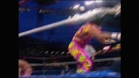 WWE SummerSlam 1992 XviD-AFG EZTV