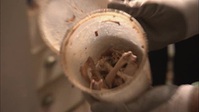 Hoarders S12E10 XviD-AFG EZTV Hoarders S12E10 XviD-AFG EZTV
