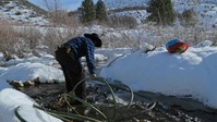 Mountain Men S11E11 XviD-AFG EZTV