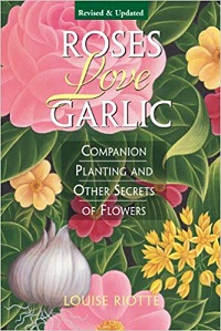 Roses Love Garlic - Companion Planting and Other Secrets of Flowers Roses Love Garlic - Companion Planting and Other Secrets of Flowers