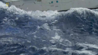 OceanXplorers S01E04 XviD-AFG EZTV