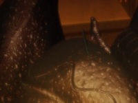 Spriggan S01E04 480p x264-mSD EZTV Spriggan S01E04 480p x264-mSD EZTV