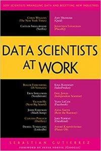 Data Scientists at Work 1st ed. Edition [NulledPremium]