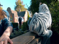 Taskmaster S14E08 The One That Bats Do 480p x264-mSD EZTV Taskmaster S14E08 The One That Bats Do 480p x264-mSD EZTV