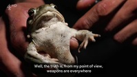 Unreported World S43E06 Mexicos Psychedelic Toads XviD-AFG EZTV Unreported World S43E06 Mexicos Psychedelic Toads XviD-AFG EZTV