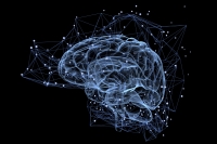 Meditation | Mindfulness | Psychology [Collection]