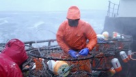 Deadliest Catch S18E09 720p WEB h264-BAE EZTV