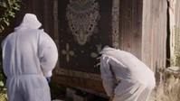 Bee Czar S01E06 XviD-AFG EZTV