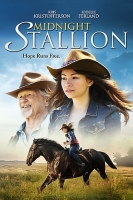 Midnight Stallion 2013 1080p BluRay x264-RUSTED