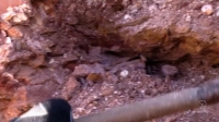 Outback Opal Hunters S01E04 PDTV x264-CBFM [eztv]