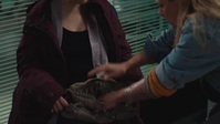 Casualty S36E29 XviD-AFG EZTV Casualty S36E29 XviD-AFG EZTV