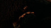 In Full Bloom 2019 BDRip XviD AC3-EVO[MovCr]