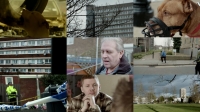 Professor Green Dangerous Dogs 2016 1080p HDTV h264-PLUTONiUM
