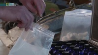 Air Crash Investigation S23E03 XviD-AFG EZTV