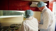 The Apprentice UK S17E06 XviD-AFG EZTV