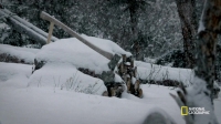Life Below Zero S07E01 720p HDTV x264-CURIOSITY EZTV Life Below Zero S07E01 720p HDTV x264-CURIOSITY EZTV