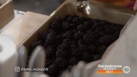 MasterChef Australia S14E38 720p HEVC x265-MeGusta EZTV