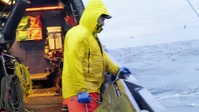 Deadliest Catch S18E11 1080p HEVC x265-MeGusta EZTV Deadliest Catch S18E11 1080p HEVC x265-MeGusta EZTV