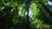 TimeScapes (2012) [BluRay] [1080p] [YTS] [YIFY]