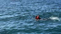 When Sharks Attack 360 S01E05 XviD-AFG EZTV