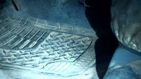 Cops S36E01 720p HEVC x265-MeGusta EZTV Cops S36E01 720p HEVC x265-MeGusta EZTV