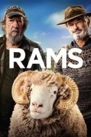 Rams 2020 HDRip XviD AC3-EVO[TGx]