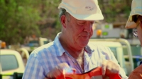 Top Gear S22E02 WEB H264-13 EZTV