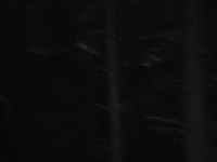 Expedition Bigfoot S03E05 480p x264-mSD EZTV