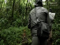 Exploration Volcano S01E02 480p x264-mSD EZTV