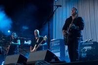 The Afghan Whigs (1990-2014) [FLAC] [DarkAngie]