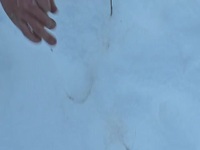 Mountain Men S11E06 480p x264-mSD EZTV Mountain Men S11E06 480p x264-mSD EZTV