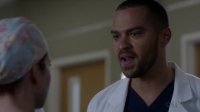 Greys Anatomy S12E15 HDTV x264-LOL[ettv]