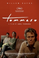 Tommaso 2020 BRRip XviD AC3-EVO