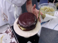 Celebrity MasterChef S19E15 480p x264-mSD EZTV