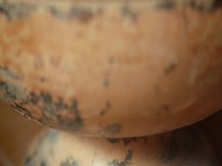Salvage Hunters S16E08 480p x264-mSD EZTV Salvage Hunters S16E08 480p x264-mSD EZTV