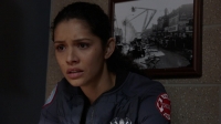 Chicago Fire S07E09 iNTERNAL 720p WEB h264-BAMBOOZLE [eztv]