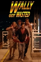 Wally Got Wasted 2019 720p WEBRip 800MB x264-GalaxyRG