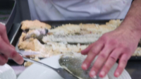 Celebrity MasterChef S19E15 1080p HEVC x265-MeGusta EZTV Celebrity MasterChef S19E15 1080p HEVC x265-MeGusta EZTV