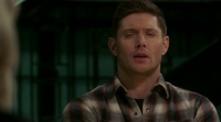 Supernatural S14E08 WEBRip x264-ION10