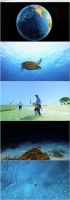 Turtle Odyssey (2019) 2160p SDR 5 1 x265 10bit Phun Psyz